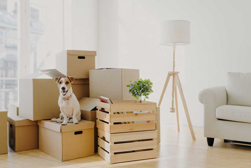 Best Packers Movers in Dhamtari