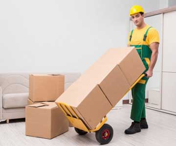 Relocation Services in Raipur